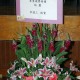 DSC (1002)